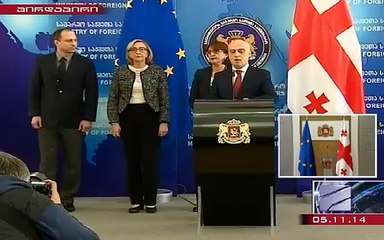 საგარეო საქმეთა მინისტრის მოადგილემ ბრიფინგზე ცრემლები ვერ შეიკავა (ვიდეო)