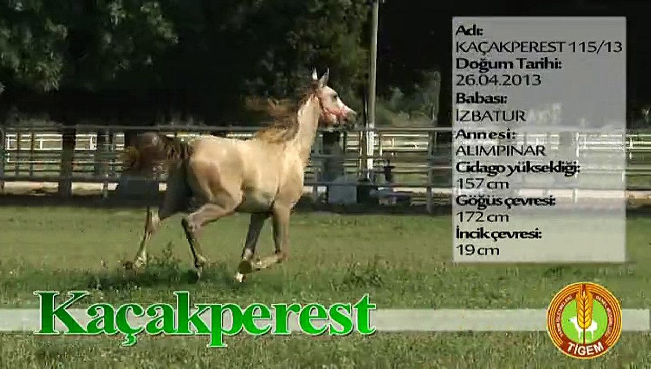 KAÇAKPEREST