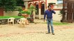 Piya Rangrezz Fame Sher Singh Aka Gaurav S Bajaj With Street Dogs- Episode 27th July 2015