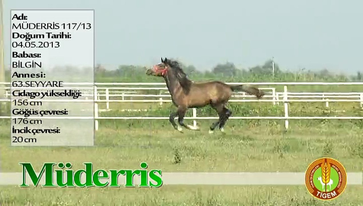 MÜDERRİS