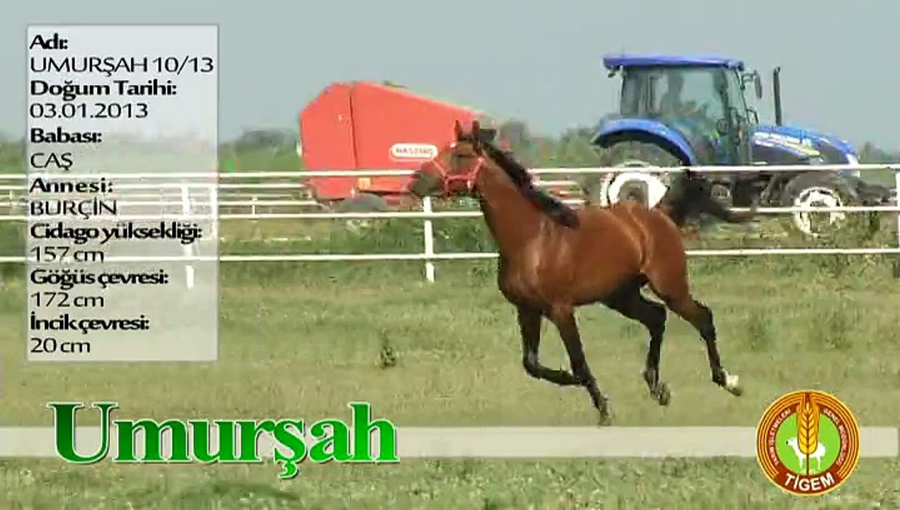 UMURŞAH