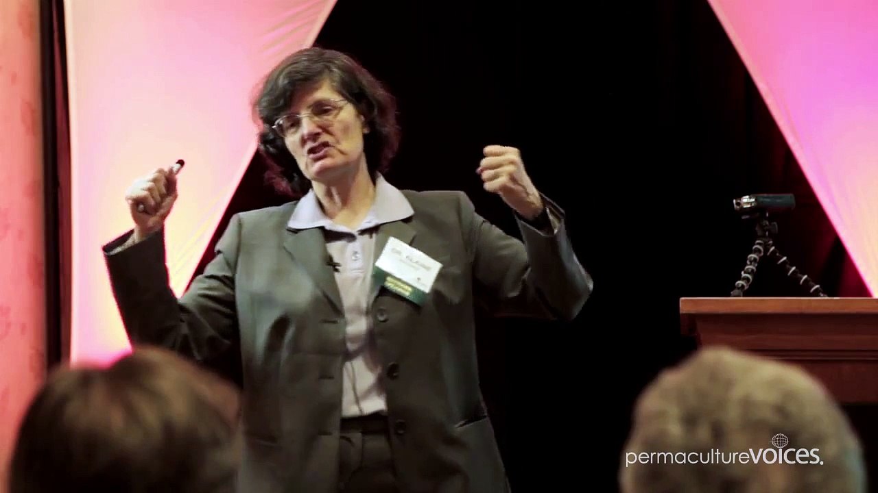 Soil and Chocolate Bars, Extracting Your Own Humic Acid from Compost with Dr. Elaine Ingham