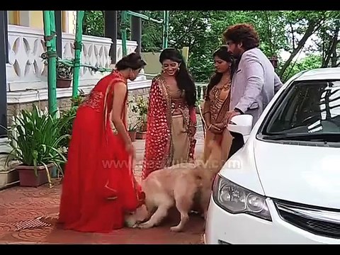 Suhani Si Ek Ladki: Rohan To Create A Rift Between Yuvraj And Suhani, Watch Latest Episode 27th July 2015