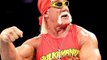 Hulk Hogan Racist Rant Audio Full Video Removed from WWE website