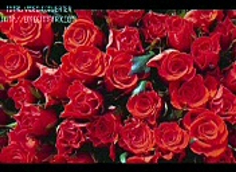 jaan to pyareya lyrics - Yahoo