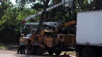 Vermeer Wood Chipper