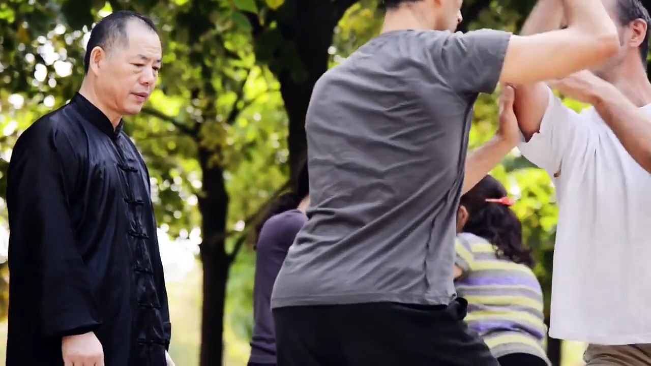 Wang Li Kun : Tai Chi Master (9ème dan)