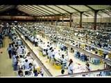 Förädling och Produktion av Adidas skor. Del 2. Globala Gymnasiet
