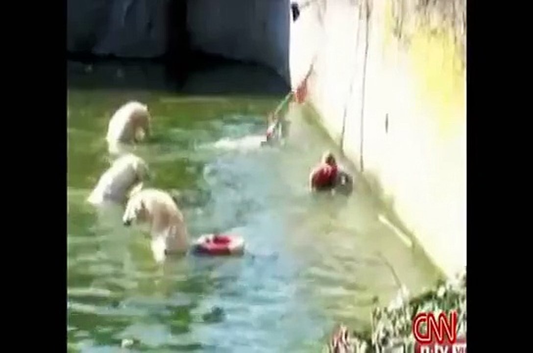 !!WOMEN ATTACKED BY POLAR BEAR!!