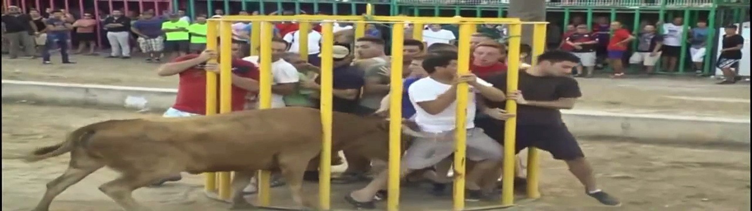 Best of top funny  videos  -  Funny video clips fail compilation July 2015