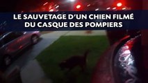 Le sauvetage d'un chien filmé du casque des pompiers