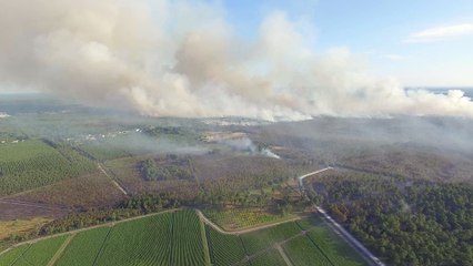 incendie de forêt à Saint-Jean-d'Illac  drone