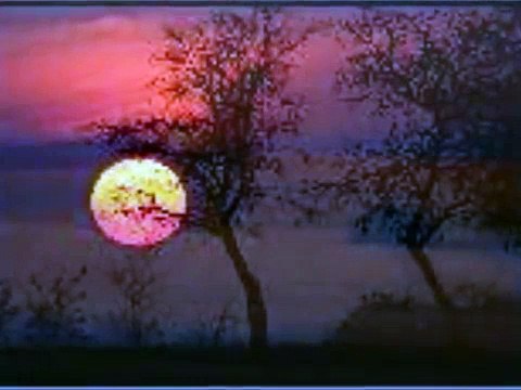 Anna Maria Jopek $Żebrowski Niewdzięczny