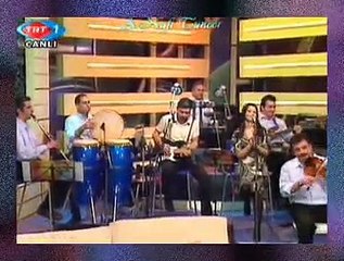 Ayşe TAŞ *Divane Âşık Gibi*