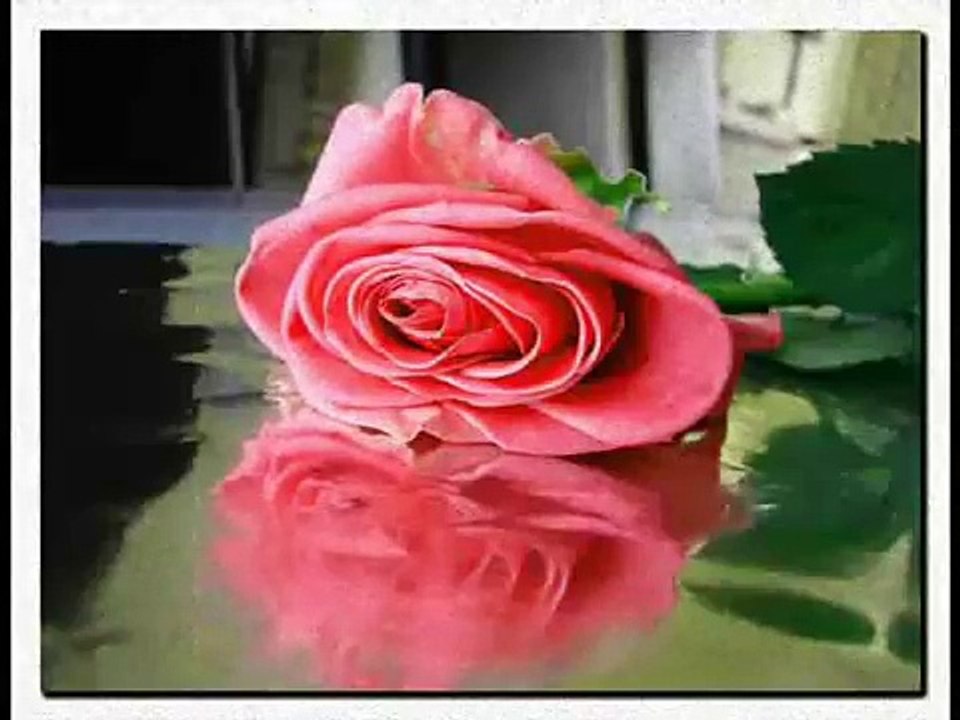 International Women Day ( 8 March 2007 )