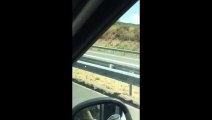 Ils roulent en marche arrière sur l'autoroute à Lyon