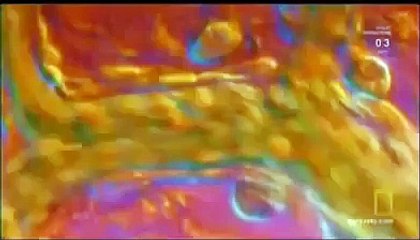 Weight Gain, Metabolism, Fat & Visceral Fat in 5 mins