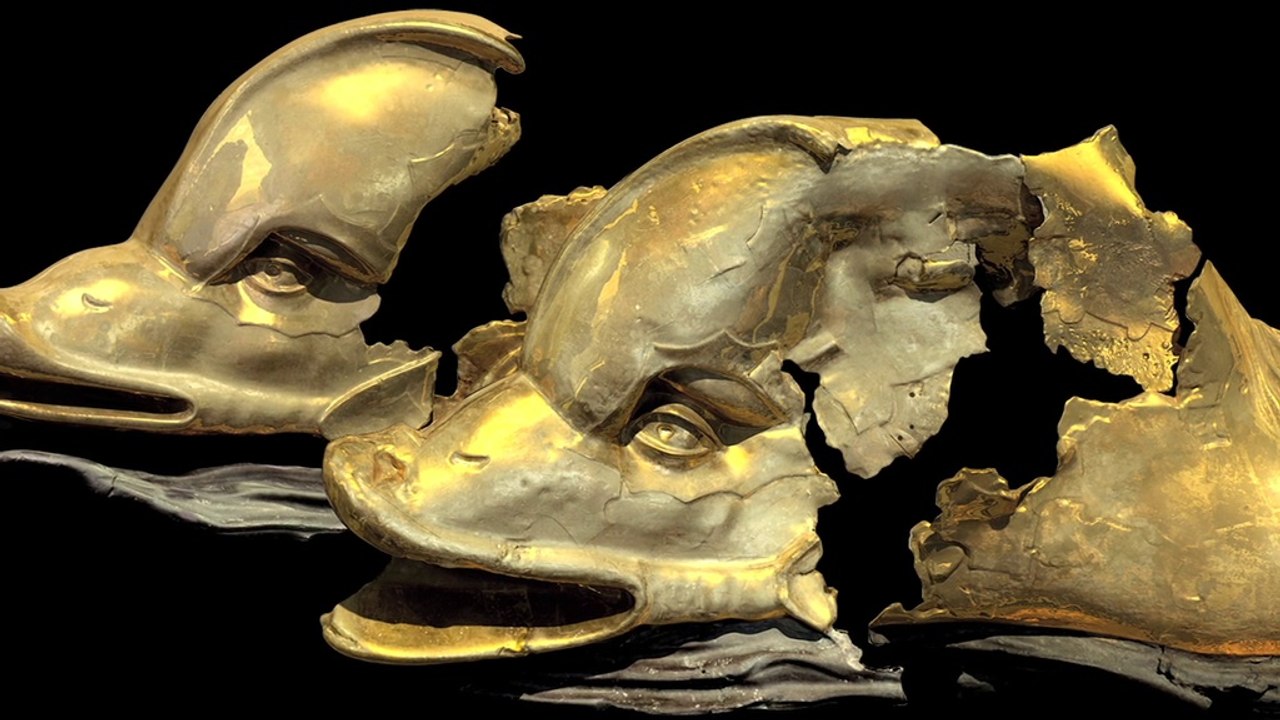 Les Grands Dauphins de Vienne - Les enjeux de la restauration