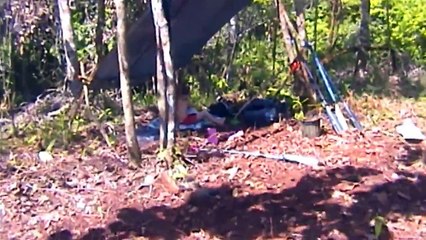 Dolphins in Costa RIca.  What to do? Nets or play?