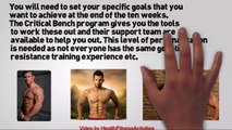 Critical Bench Review Muscle Building Quickly Video Dailymotion