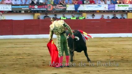 La Línea 26 jul 2015