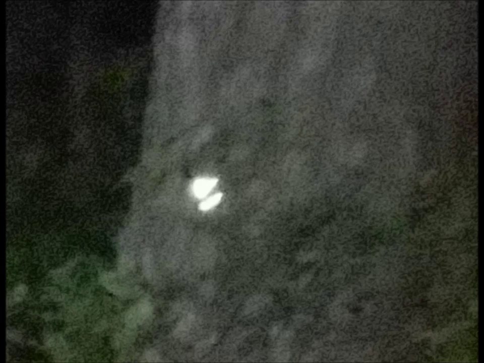 Evp "Your Dead" & Possible Orb catch on video