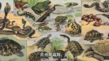 【改編惡搞歌曲】妮琪米娜 ：《大蚺趴》 教學版 - College Humor