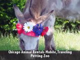 Call 815-600-6464-Animal Rental,Animal Rentals,Animal Rental Chicago,Animal Rentals Chicago Area