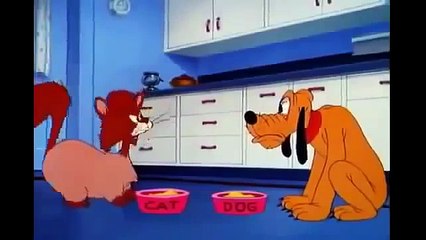 كرتون الكلب بلوتو -  كارتون ميكى ماوس  - Best Disney Cartoons -  Mickey Mouse  - Pluto