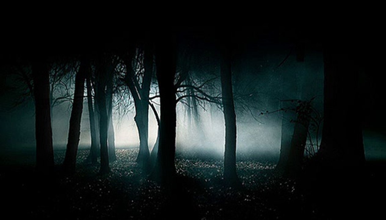 DIK DIK - senza luce