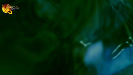 Jald Bazi Ki Hemaqat