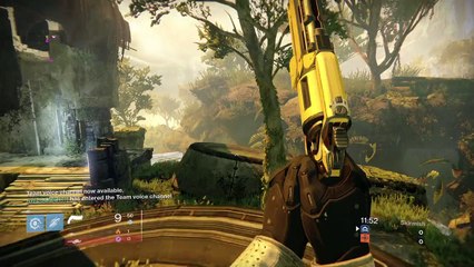 Two headshots 1 bullet