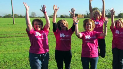Breast Cancer Volunteer Group - Breast Mates