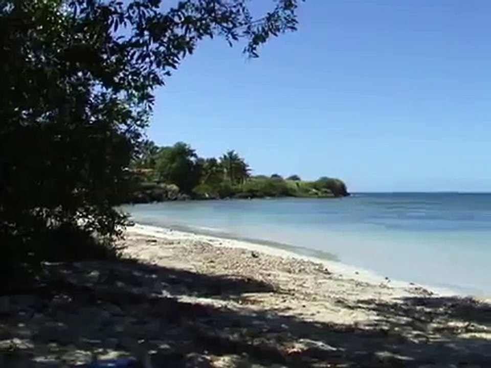 la plage des salines en martinique