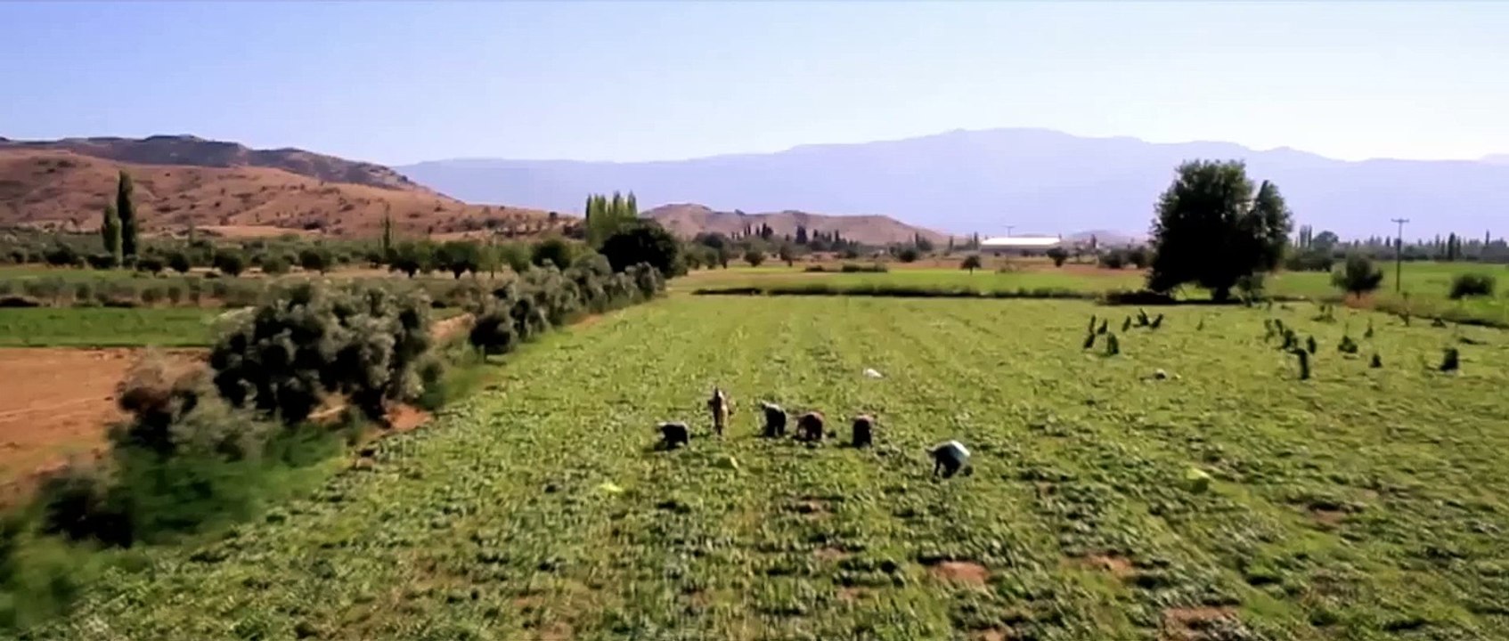 Yeşil Deniz 34. bölüm 10 Ağustos Yeni Sezon Fragmanı