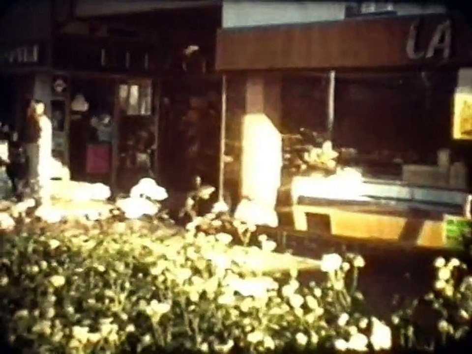 1976 - La Maladie de Marino