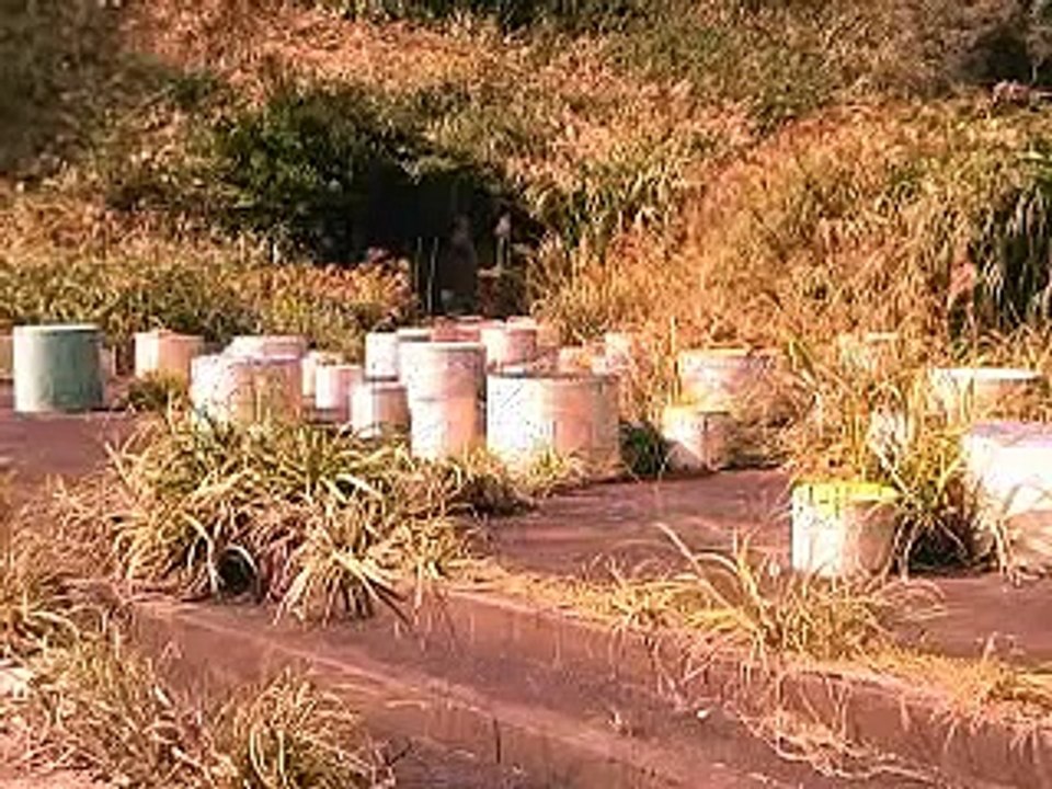 廃墟探索 「行川アイランド」