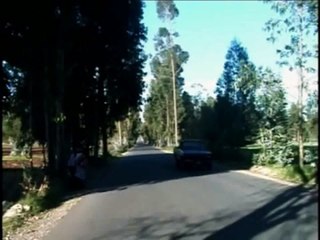 Un Pasajero en el Camino  - Picaflor de los Andes - Huayno