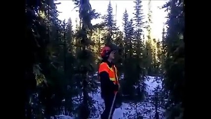 Trompettes de l'Apocalypse entendues à travers le monde !