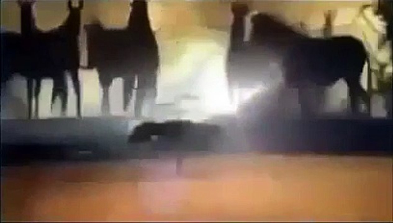 Radioactive Wolves Of Chernobyl Scary Mutations Full Documentary 480p