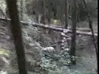 Présentation VTT FUN CLUB