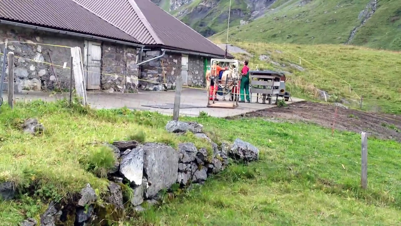 Évacuation d'une vache par hélicoptère en Suisse