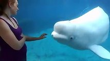孟金龍 whale scares little girl
