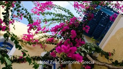 Hotel Zeus Santorini, Grecia daily
