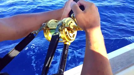 pesca al tonno rosso giornata memorabile fiumicino solo N'1