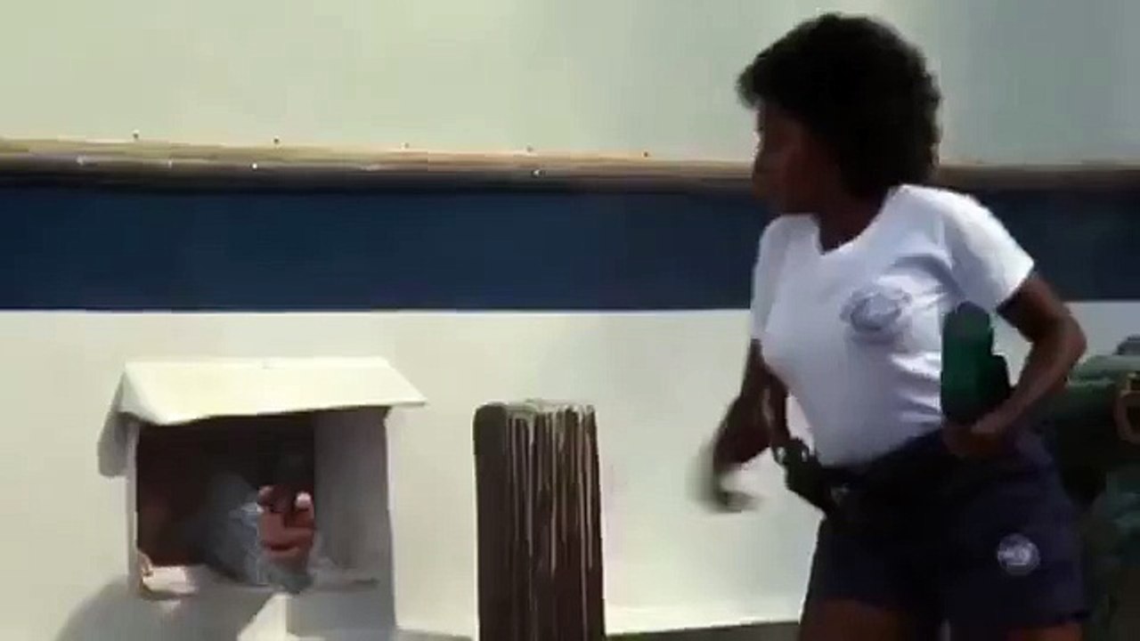 Police Academy 5