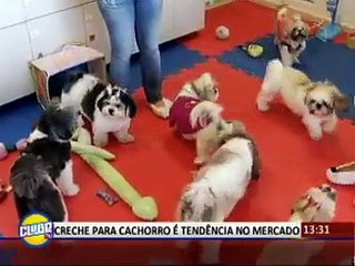 Mimos e mais mimos