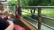 Bronx Zoo Monorail ride