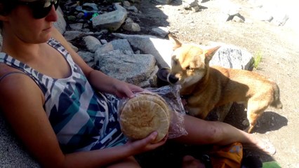 Aloha Surf N Turf Sandwiches