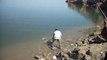 Fishing In Pakistan At Mangla Dam